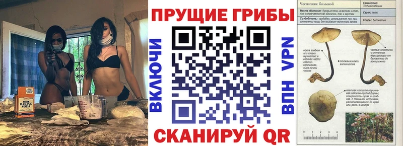 ссылка на мегу сайт  наркошоп  Екатеринбург  Галлюциногенные грибы Psilocybine cubensis 
